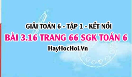 Giải bài 3.16 trang 66 Toán 6 Tập 1 SGK Kết nối tri thức